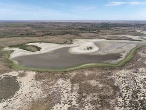 Imagen de la sequía creciente que se apodera de Doñána