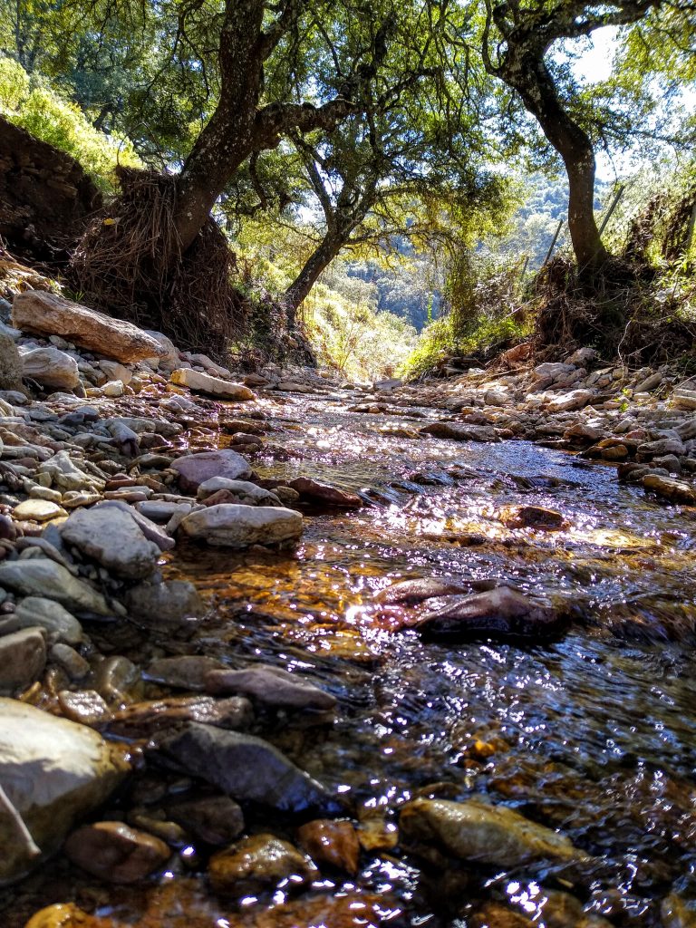 Río Genal, Serranía de Ronda