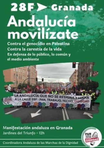 28F MAnifestacion andaluza en Granada
