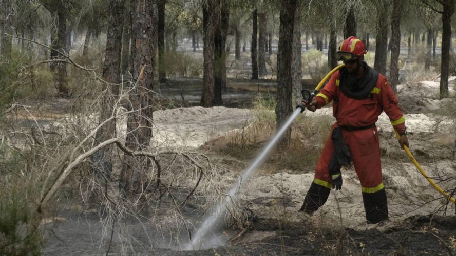 3827-el-incendio-de-donana-ha-quemado-8-486-hectareas-de-matorral-y-arbolado