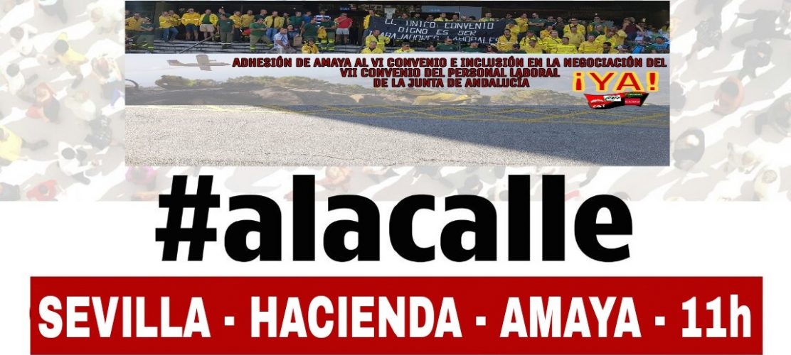 3904-portada-amaya