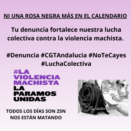 Campaña 25N Lucha Colectiva