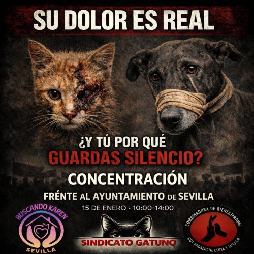 WhatsApp Image 2026-01-11 at 19.30.30