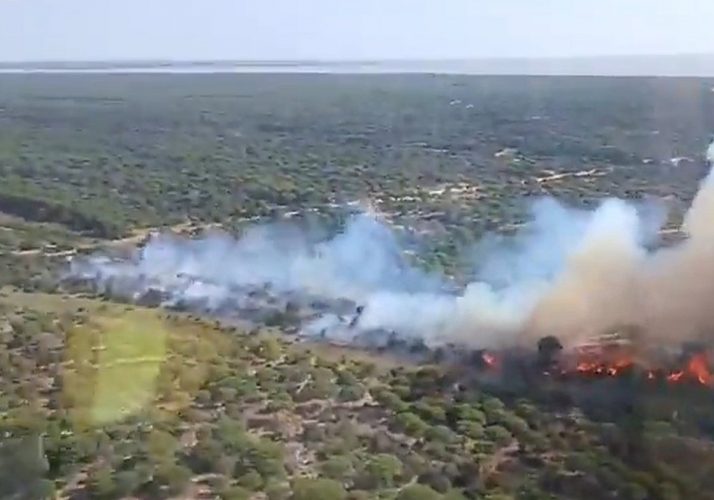 incendio-donana-RqTjKlPZAJ3RCOWSFYAGG5J-1200x840@huelva24