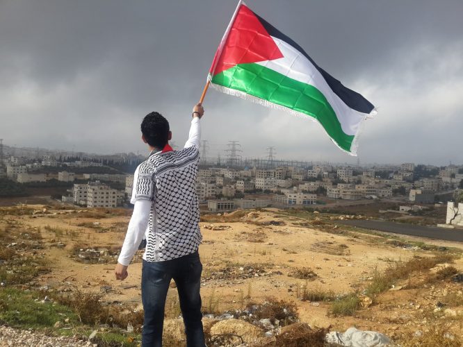 palestine-flag-protest