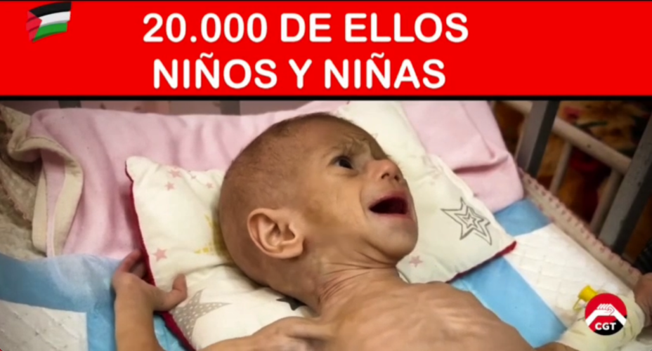 videoCGT_Palestina